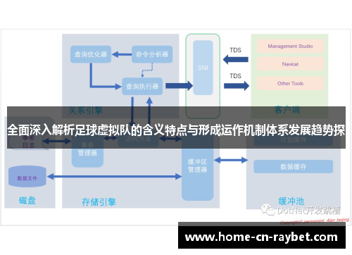 全面深入解析足球虚拟队的含义特点与形成运作机制体系发展趋势探