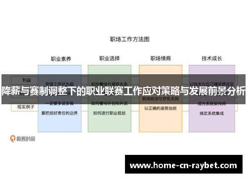 降薪与赛制调整下的职业联赛工作应对策略与发展前景分析