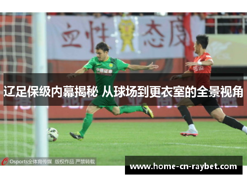 辽足保级内幕揭秘 从球场到更衣室的全景视角