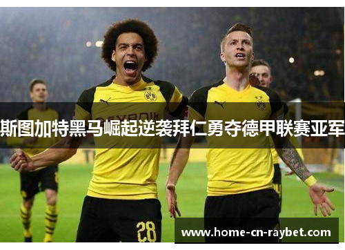 斯图加特黑马崛起逆袭拜仁勇夺德甲联赛亚军