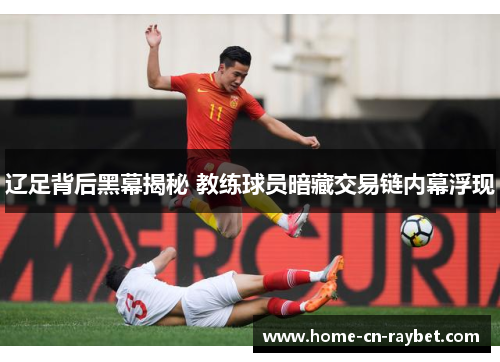 辽足背后黑幕揭秘 教练球员暗藏交易链内幕浮现